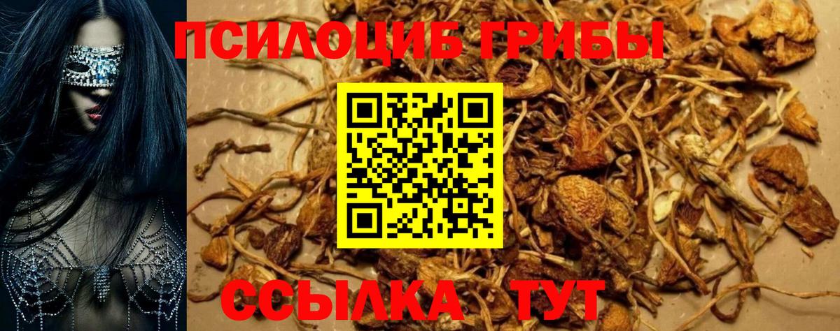 Галлюциногенные грибы Psilocybe  Вход с VPN  хочу наркоту  Лесосибирск 