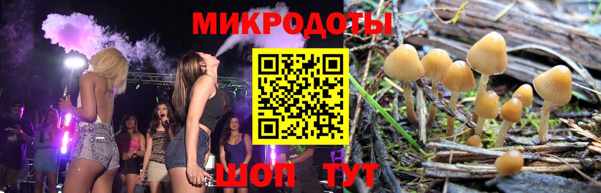 Псилоцибиновые грибы мицелий Лесосибирск
